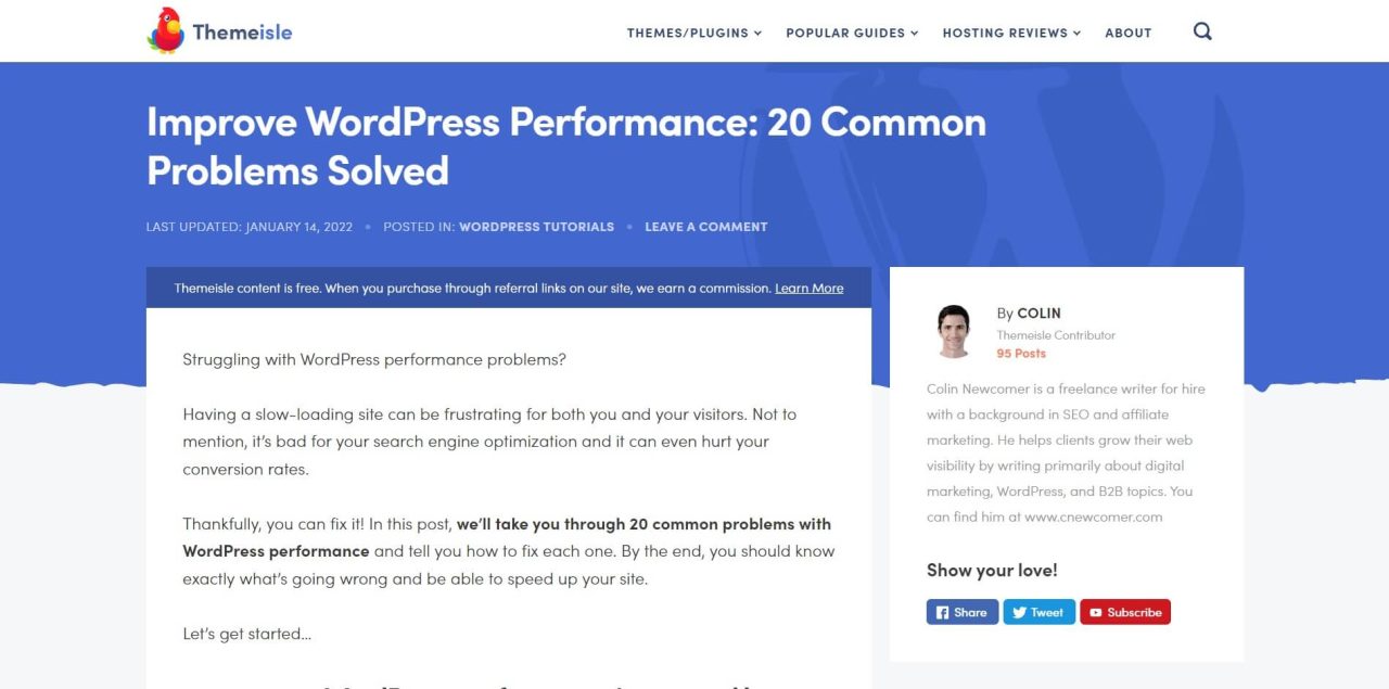 Improve WordPress Performance 20 Common Problems Solved