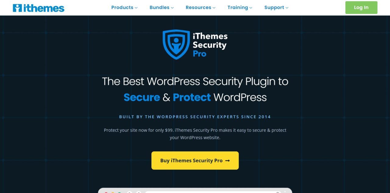 iThemes Security Pro
